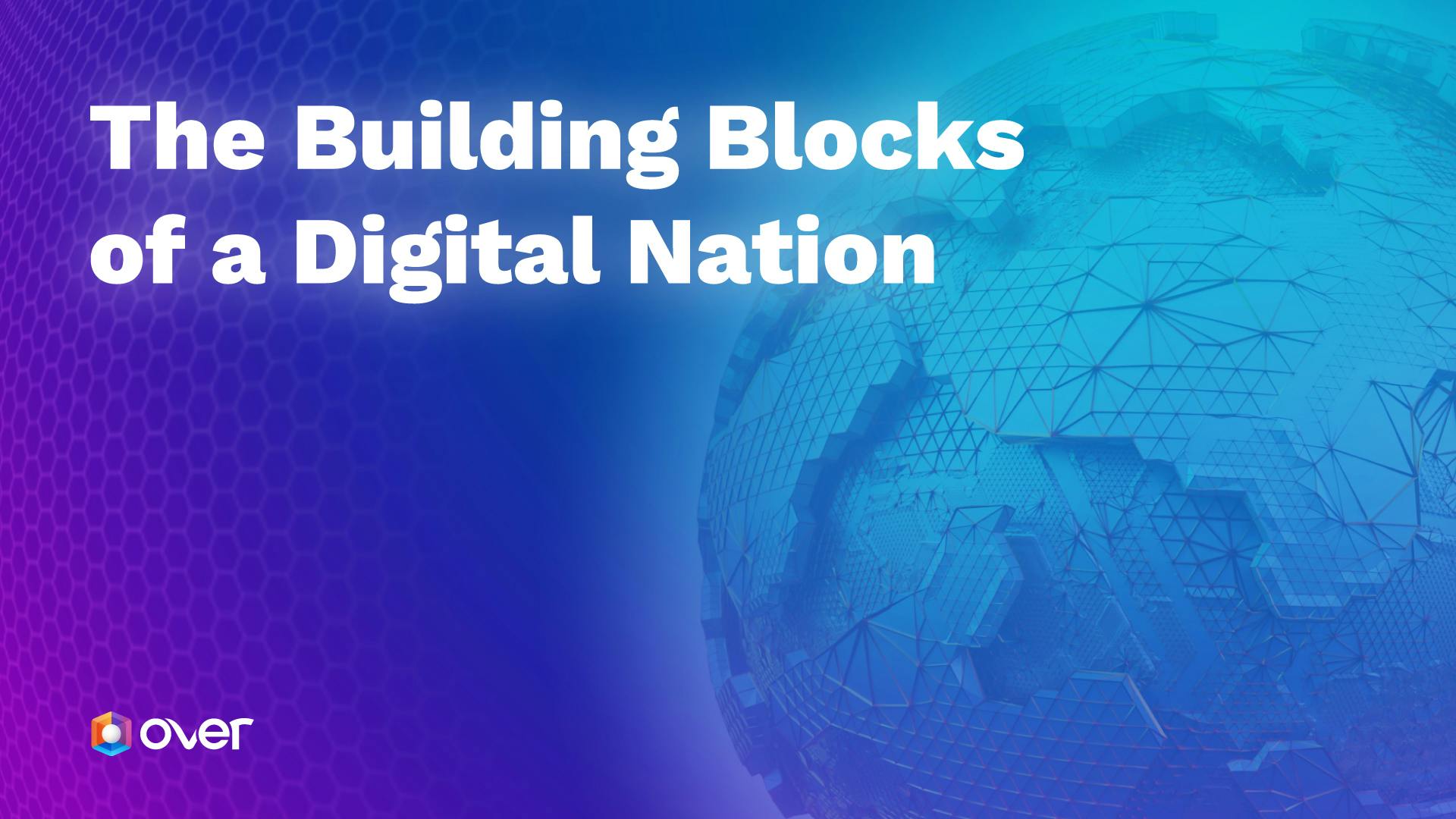 The Building Blocks of a Digital Nation